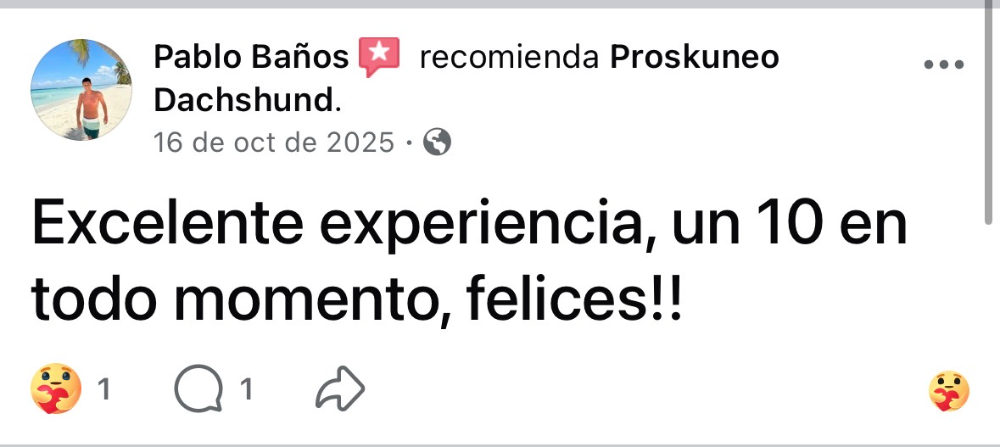 Testimonios REALES desde Facebook! - Proskuneo Dachshund