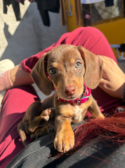 Mamá de Chloe💗